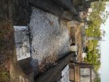 image of grave number 835427